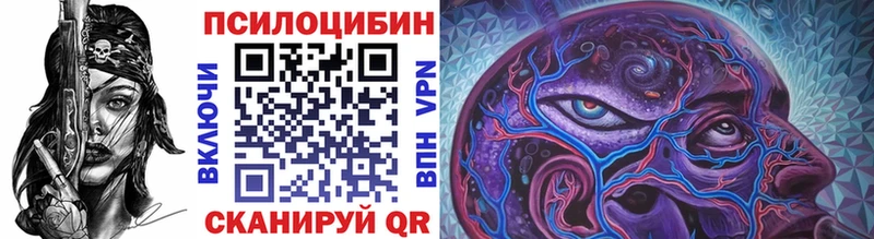 как найти наркотики  Уяр  Галлюциногенные грибы Psilocybine cubensis 